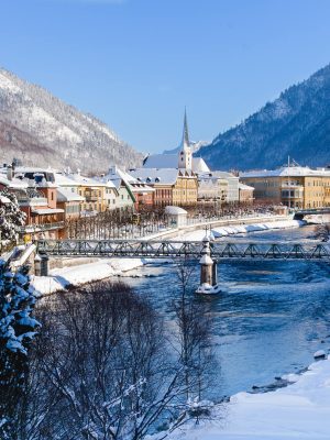 Wolf-Schaf-afbeelding19